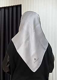 SİLK HOME SHINY DÜZ EŞARP 76001-06