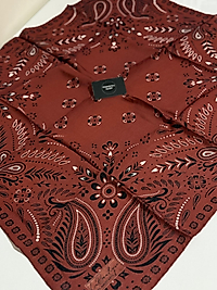 GÜZ SERİNLİĞİ EŞARP GYSE2469-07